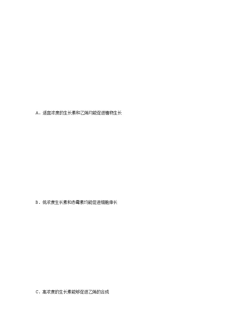 5.2 植物激素调节植物生命活动（第1课时）（精编课件+同步练习）精编高二生物同步备课系列（浙科版2019选择性必修1）02