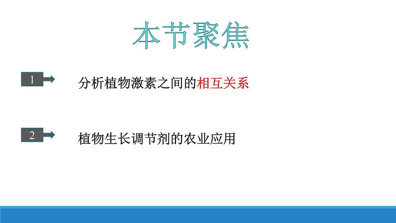 5.2 植物激素调节植物生命活动（第1课时）（精编课件+同步练习）精编高二生物同步备课系列（浙科版2019选择性必修1）02