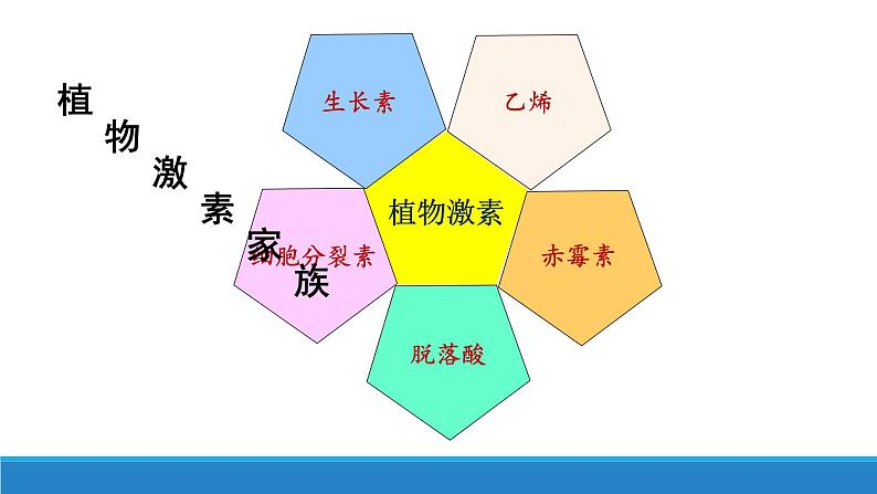 5.2 植物激素调节植物生命活动（第1课时）（精编课件+同步练习）精编高二生物同步备课系列（浙科版2019选择性必修1）04