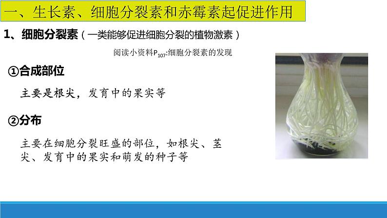 5.2 植物激素调节植物生命活动（第1课时）（精编课件+同步练习）精编高二生物同步备课系列（浙科版2019选择性必修1）05