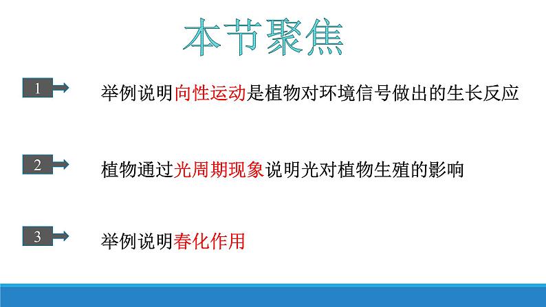 5.3 植物对多种环境信号做出反应（精编课件+同步练习）精编高二生物同步备课系列（浙科版2019选择性必修1）03