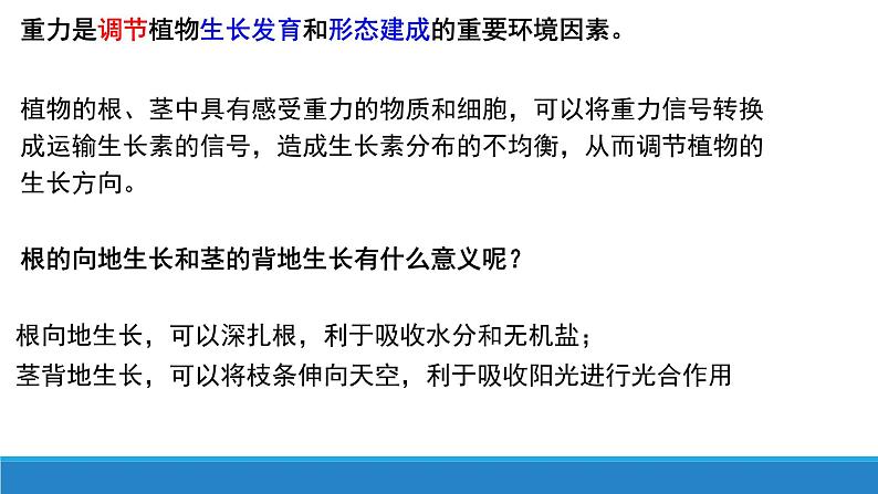 5.3 植物对多种环境信号做出反应（精编课件+同步练习）精编高二生物同步备课系列（浙科版2019选择性必修1）06