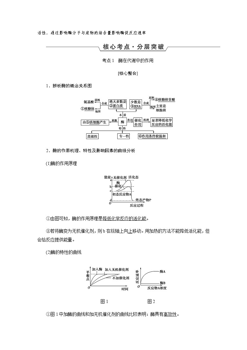 2023届高考生物二轮复习酶和ATP学案第3页