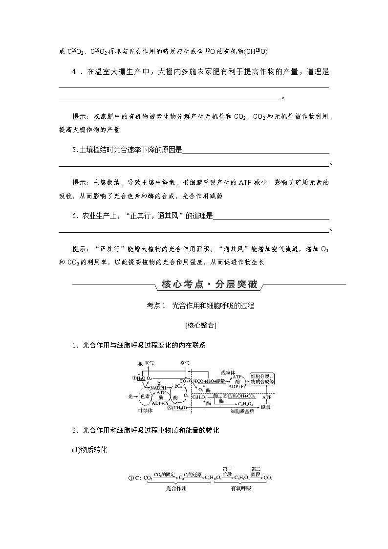 2023届高考生物二轮复习细胞呼吸和光合作用学案03