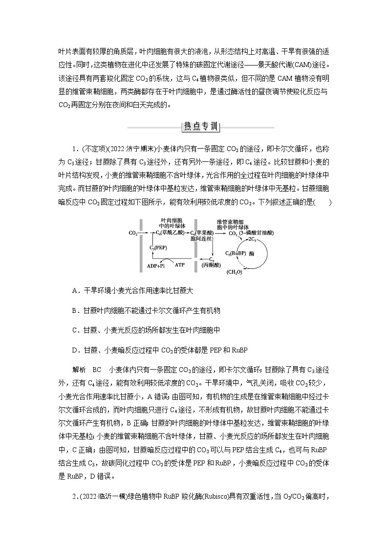 2023届高考生物二轮复习命题热点聚焦1细胞的代谢学案03