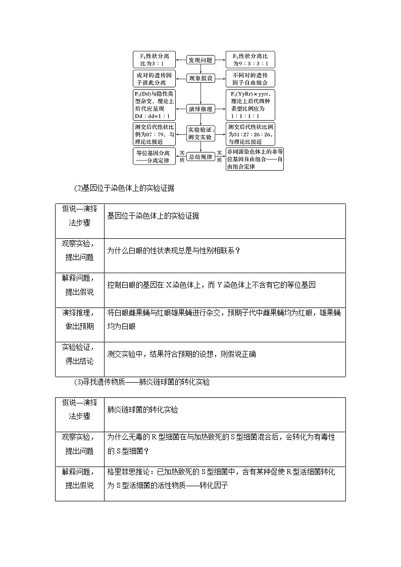 2023届高考生物二轮复习命题热点聚焦2利用“假说--演译”法突破推理类遗传题学案03