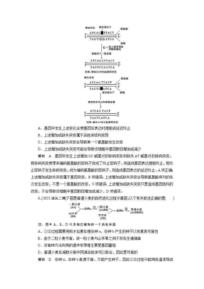 2023届高考生物二轮复习生物的变异与进化作业含答案第3页
