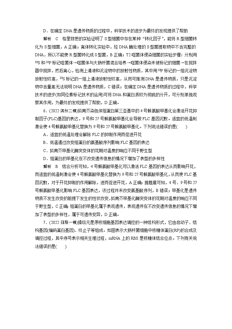 2023届高考生物二轮复习遗传的分子基础作业含答案第3页