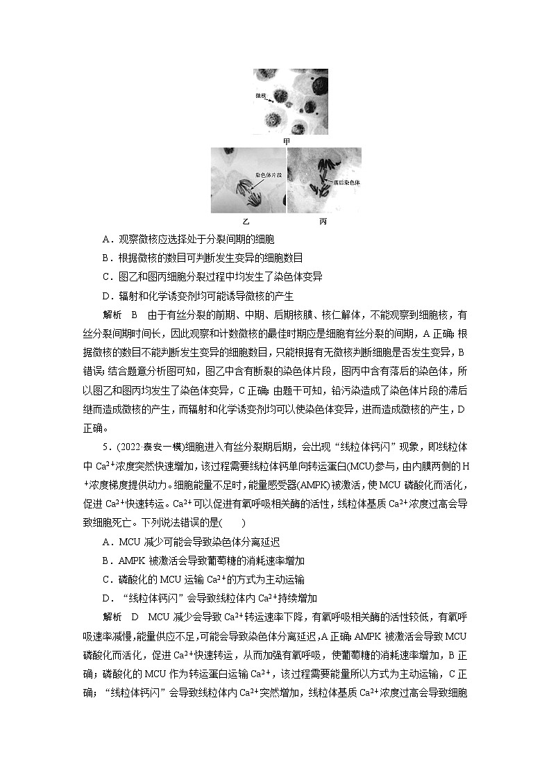 2023届高考生物二轮复习细胞的生命历程作业含答案第3页