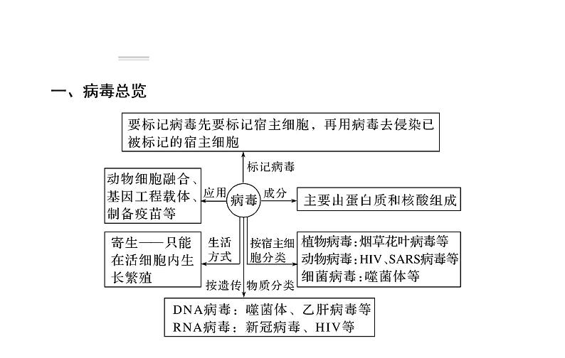 2023届高考生物二轮复习专题命题热点聚焦3稳态与调节课件08