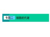 2023届高考生物二轮复习酶和ATP课件