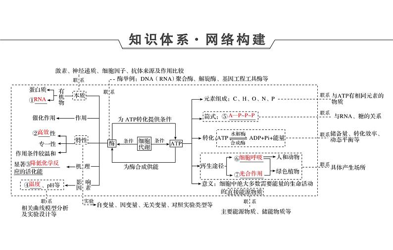 2023届高考生物二轮复习酶和ATP课件第4页