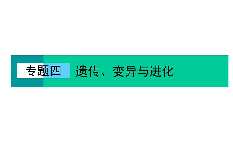 2023届高考生物二轮复习生物的变异与进化课件02