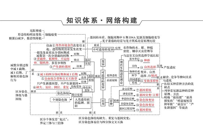 2023届高考生物二轮复习生物的变异与进化课件04