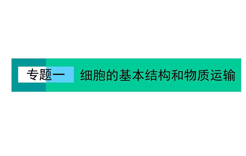 2023届高考生物二轮复习细胞的基本结构和物质运输课件02