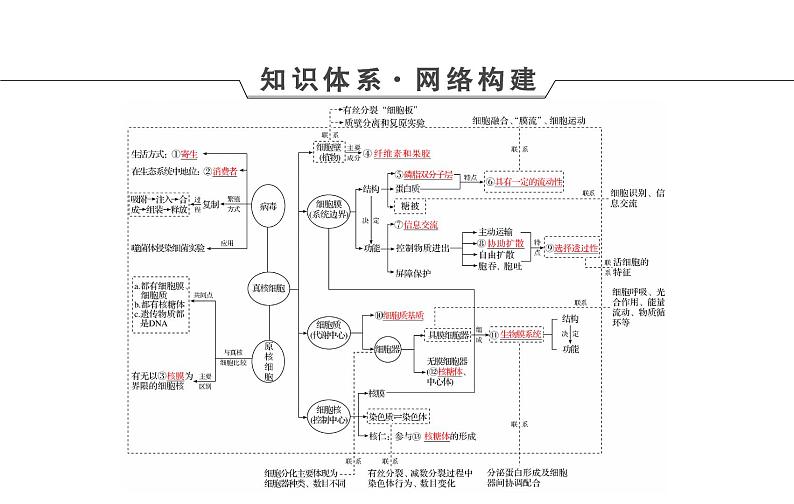 2023届高考生物二轮复习细胞的基本结构和物质运输课件04