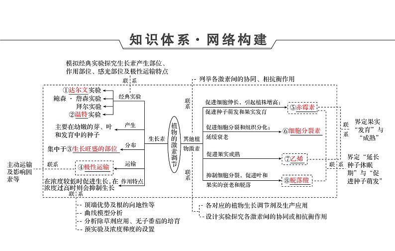 2023届高考生物二轮复习植物的激素调节课件04