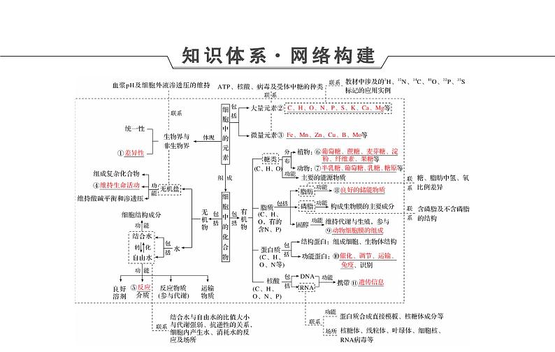 2023届高考生物二轮复习细胞的分子组成课件第4页