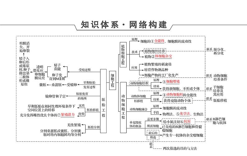 2023届高考生物二轮复习细胞工程课件第4页