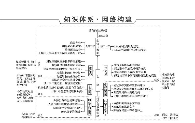 2023届高考生物二轮复习实验与探究课件第4页