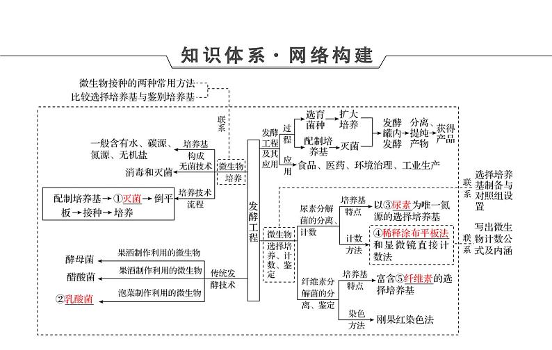 2023届高考生物二轮复习发酵工程课件第4页