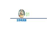 1.1.2精编动作电位的产生和传导（精编课件+同步练习）精编高二生物同步备课系列（新苏教版（2019）选择性必修1）