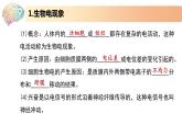 1.1.2精编动作电位的产生和传导（精编课件+同步练习）精编高二生物同步备课系列（新苏教版（2019）选择性必修1）