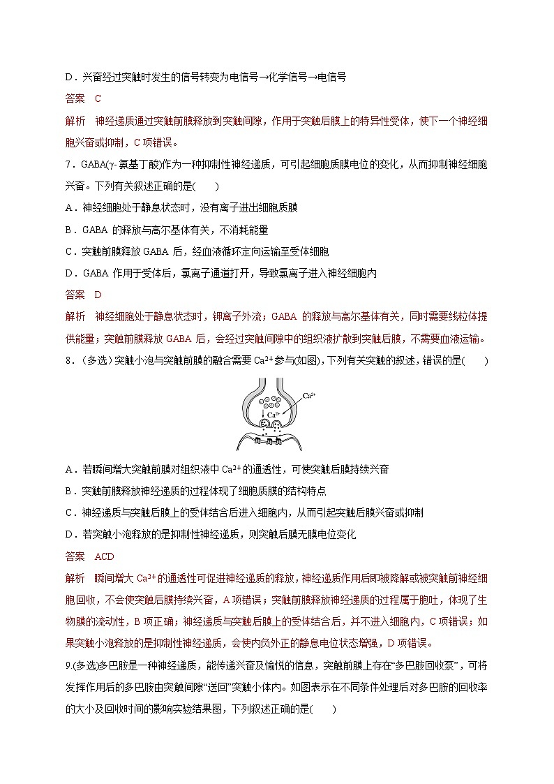 1.1.2精编动作电位的产生和传导（精编课件+同步练习）精编高二生物同步备课系列（新苏教版（2019）选择性必修1）03
