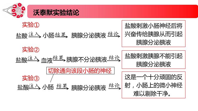 1.2.1精编激素和激素调节作用的发现及内分泌系统（精编课件+同步练习）精编高二生物同步备课系列（新苏教版（2019）选择性必修1）03