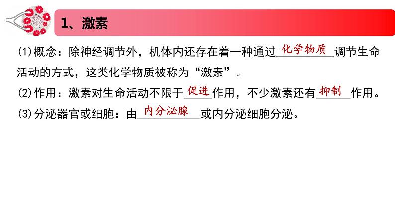 1.2.1精编激素和激素调节作用的发现及内分泌系统（精编课件+同步练习）精编高二生物同步备课系列（新苏教版（2019）选择性必修1）06