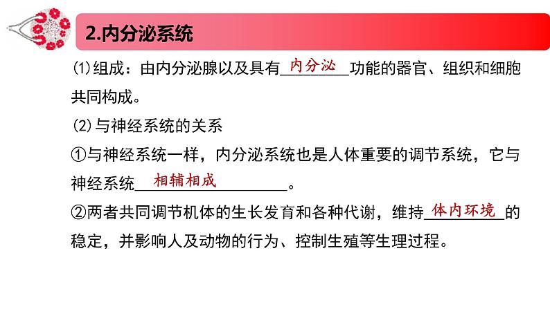 1.2.1精编激素和激素调节作用的发现及内分泌系统（精编课件+同步练习）精编高二生物同步备课系列（新苏教版（2019）选择性必修1）07