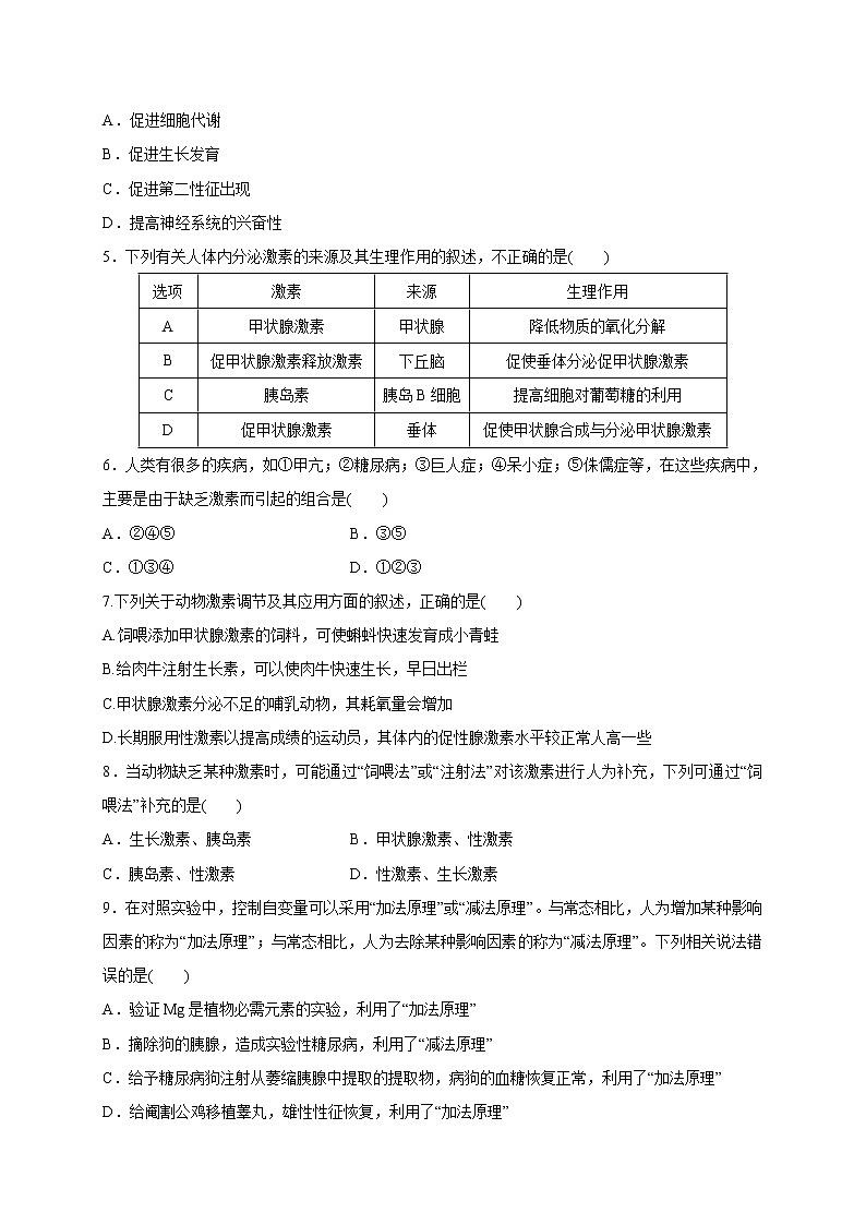 1.2.1精编激素和激素调节作用的发现及内分泌系统（精编课件+同步练习）精编高二生物同步备课系列（新苏教版（2019）选择性必修1）02