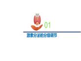 1.2.2精编激素分泌的分级调节、激素的作用特点（精编课件+同步练习）精编高二生物同步备课系列（新苏教版（2019）选择性必修1）