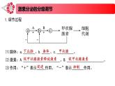 1.2.2精编激素分泌的分级调节、激素的作用特点（精编课件+同步练习）精编高二生物同步备课系列（新苏教版（2019）选择性必修1）