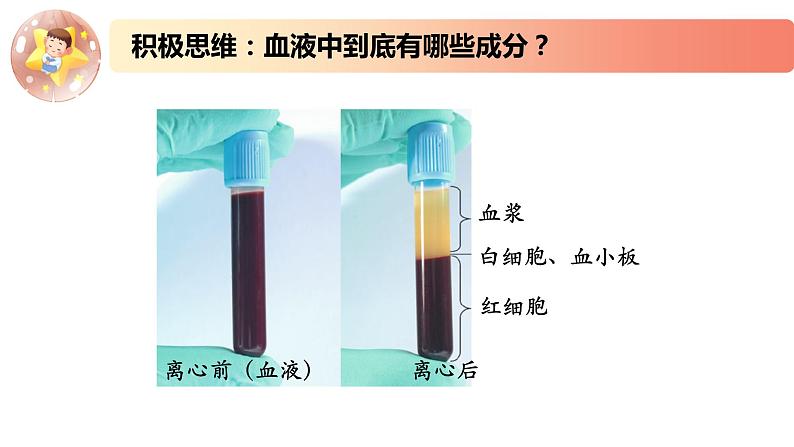 2.1.1精编细胞生活在内环境及稳态的反馈调节（精编课件+同步练习）精编高二生物同步备课系列（新苏教版（2019）选择性必修1）02