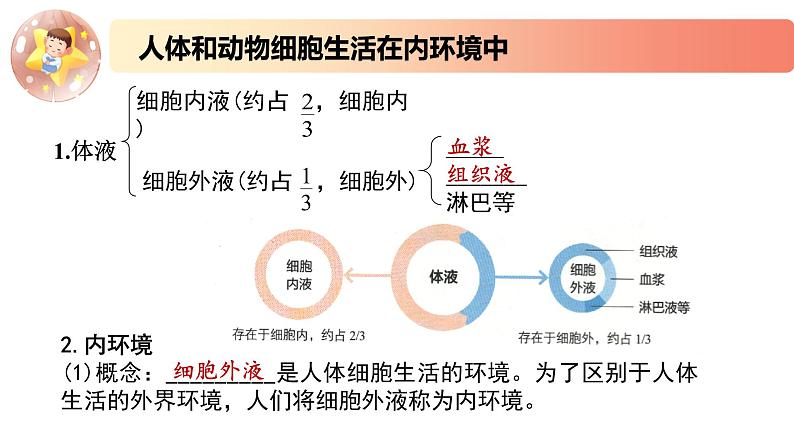 2.1.1精编细胞生活在内环境及稳态的反馈调节（精编课件+同步练习）精编高二生物同步备课系列（新苏教版（2019）选择性必修1）06