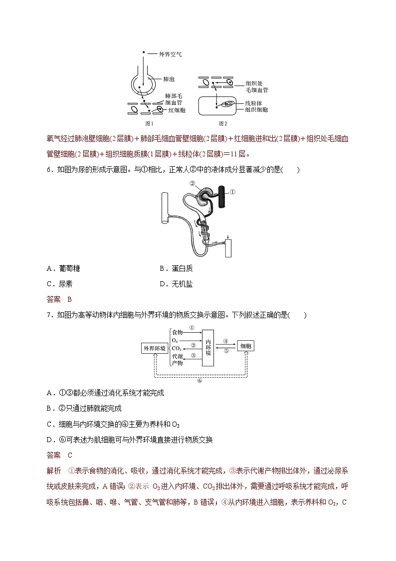 2.1.2 细胞与环境间的物质交换（备作业）精编高二生物同步备课系列（新苏教版（2020）选择性必修1）（解析版）第3页