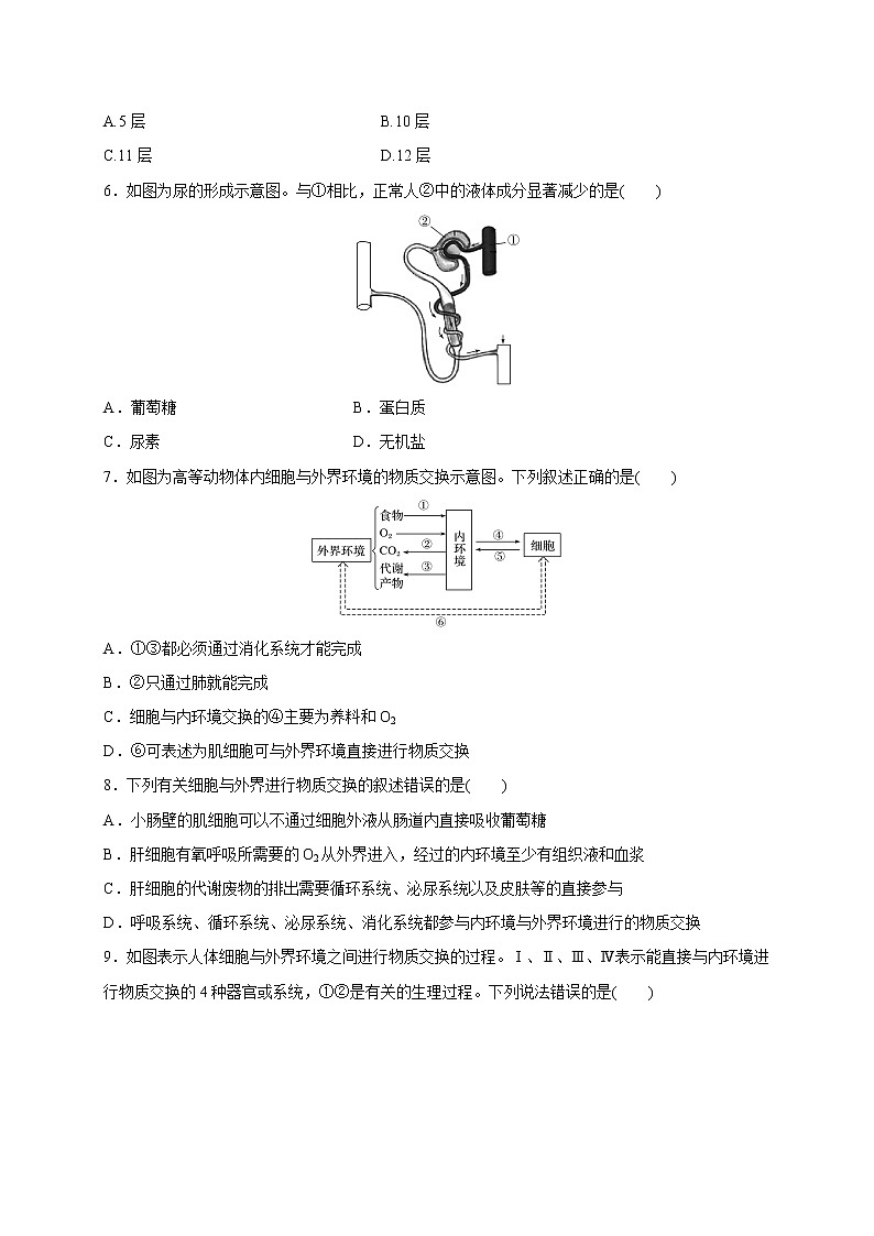 2.1.2 细胞与环境间的物质交换（备作业）精编高二生物同步备课系列（新苏教版（2020）选择性必修1）（原卷版）第2页
