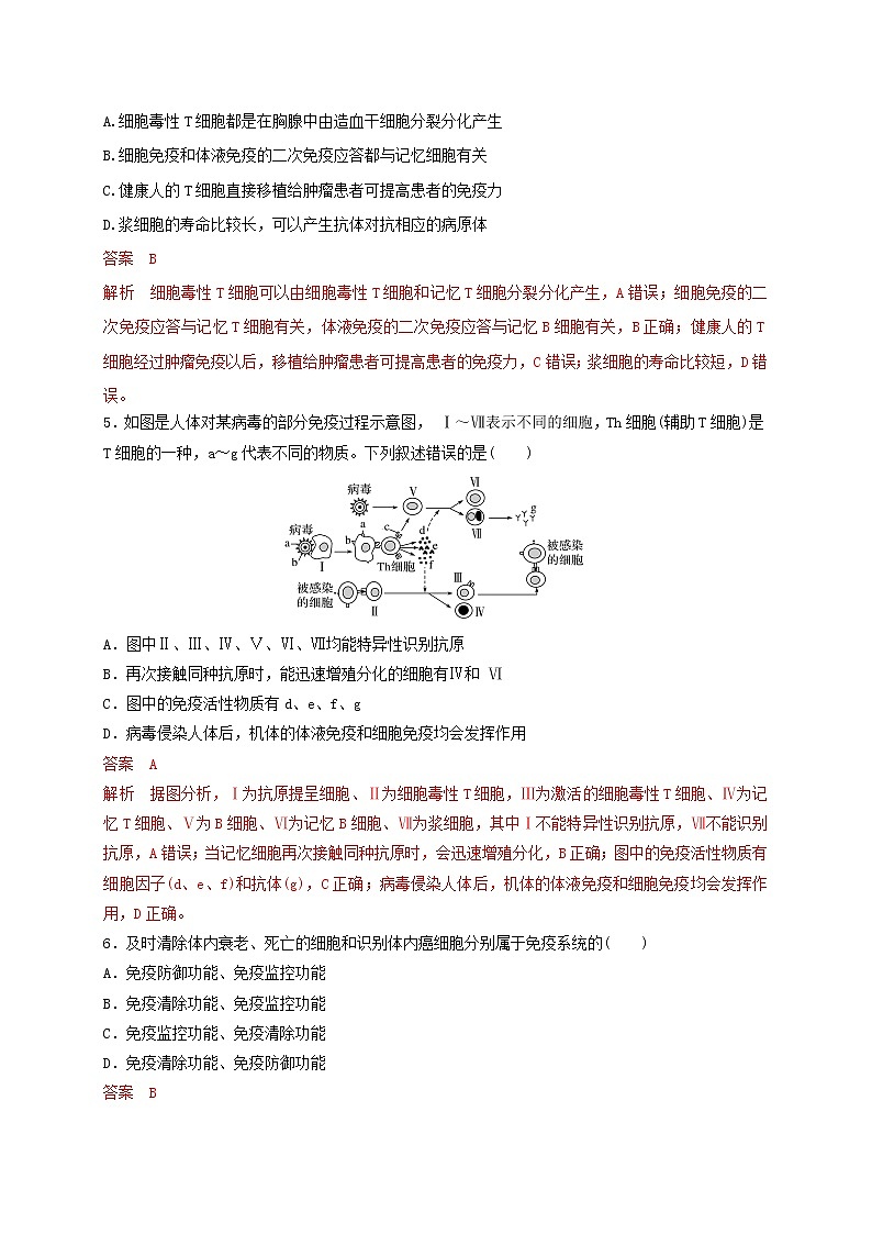 3.1.2细胞免疫（精编课件+同步练习）精编高二生物同步备课系列（新苏教版（2019）选择性必修1）02