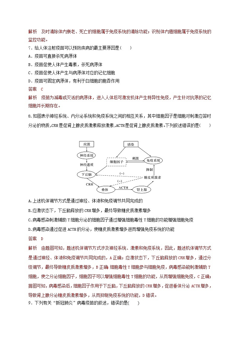 3.1.2细胞免疫（精编课件+同步练习）精编高二生物同步备课系列（新苏教版（2019）选择性必修1）03