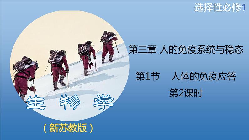 3.1.2细胞免疫（精编课件+同步练习）精编高二生物同步备课系列（新苏教版（2019）选择性必修1）01