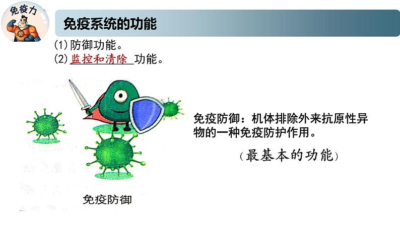 3.1.2细胞免疫（精编课件+同步练习）精编高二生物同步备课系列（新苏教版（2019）选择性必修1）06