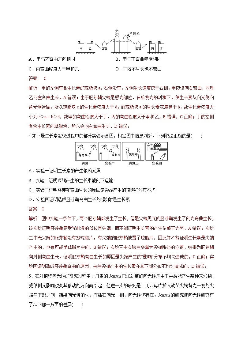4.1.1精编科学家不断探索发现生长素（精编课件+同步练习）精编高二生物同步备课系列（新苏教版（2019）选择性必修1）02