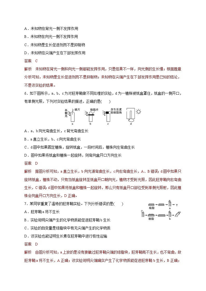 4.1.1精编科学家不断探索发现生长素（精编课件+同步练习）精编高二生物同步备课系列（新苏教版（2019）选择性必修1）03