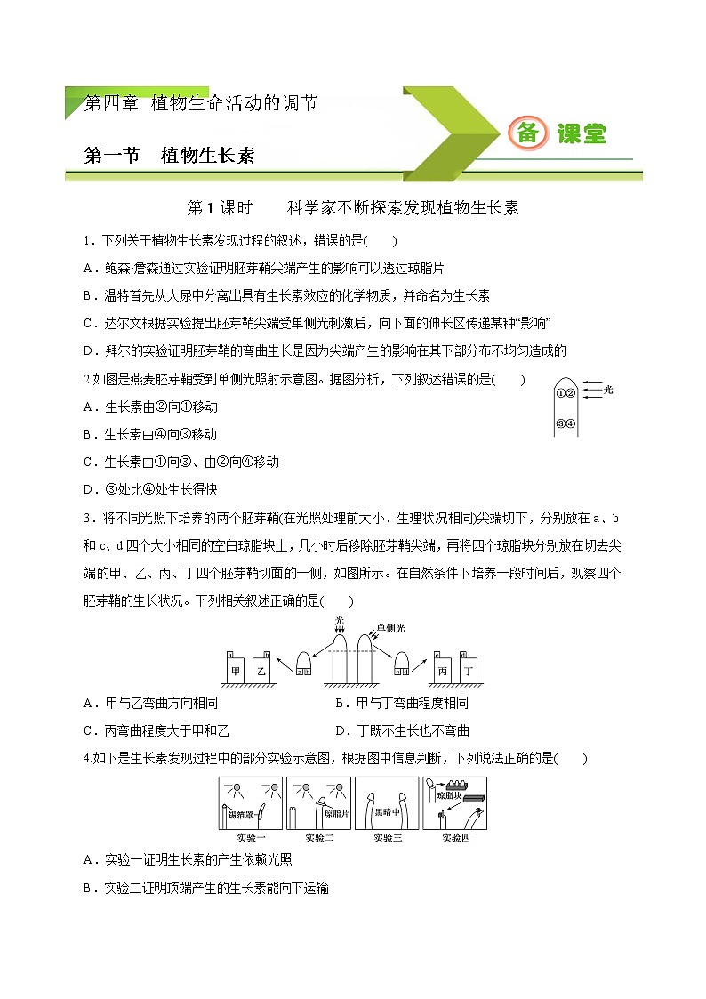 4.1.1精编科学家不断探索发现生长素（精编课件+同步练习）精编高二生物同步备课系列（新苏教版（2019）选择性必修1）01