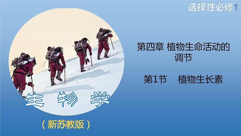 4.1.1精编科学家不断探索发现生长素（精编课件+同步练习）精编高二生物同步备课系列（新苏教版（2019）选择性必修1）01