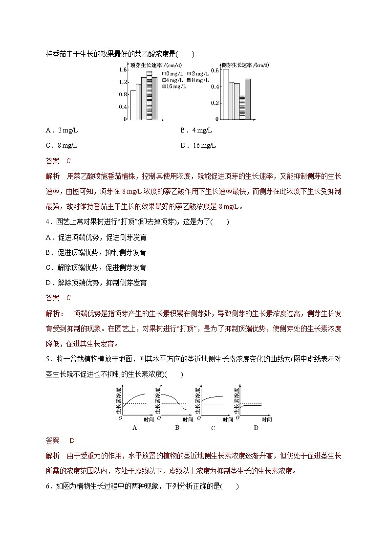 4.1.2精编生长素的运输和生理作用（精编课件+同步练习）精编高二生物同步备课系列（新苏教版（2019）选择性必修1）02