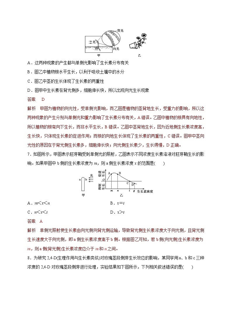 4.1.2精编生长素的运输和生理作用（精编课件+同步练习）精编高二生物同步备课系列（新苏教版（2019）选择性必修1）03