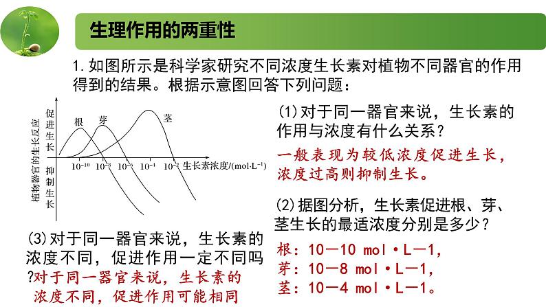 4.1.2精编生长素的运输和生理作用（精编课件+同步练习）精编高二生物同步备课系列（新苏教版（2019）选择性必修1）05