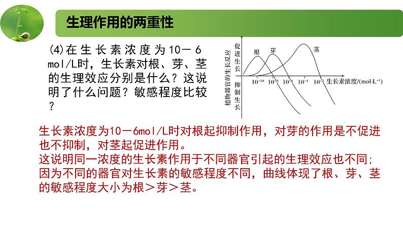 4.1.2精编生长素的运输和生理作用（精编课件+同步练习）精编高二生物同步备课系列（新苏教版（2019）选择性必修1）06